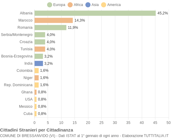 Grafico cittadinanza stranieri - Bressanvido 2004