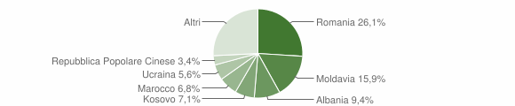 Grafico cittadinanza stranieri - Mirano 2014