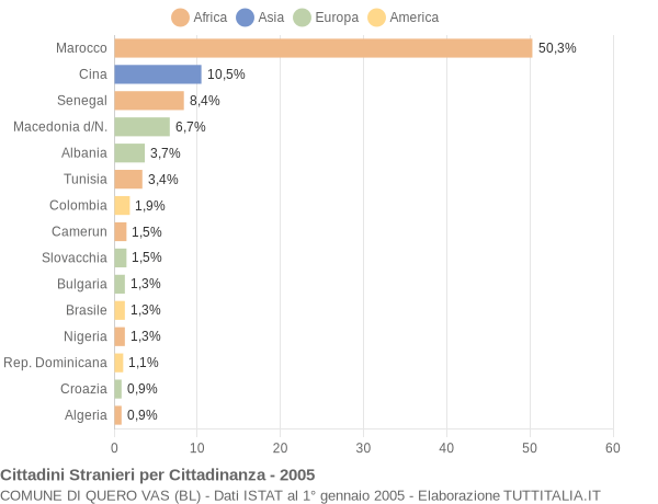 Grafico cittadinanza stranieri - Quero Vas 2005