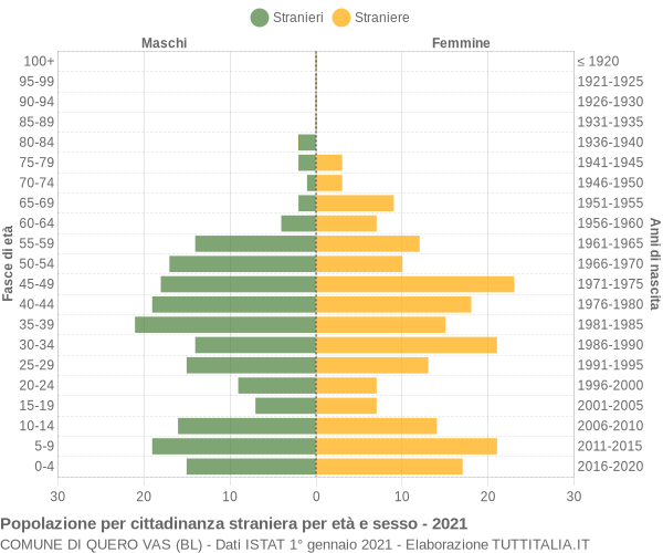 Grafico cittadini stranieri - Quero Vas 2021