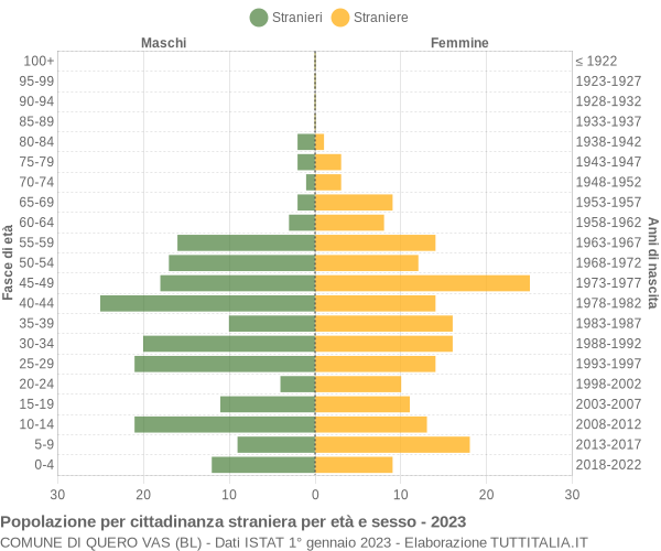 Grafico cittadini stranieri - Quero Vas 2023