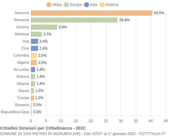 Grafico cittadinanza stranieri - San Pietro di Morubio 2022