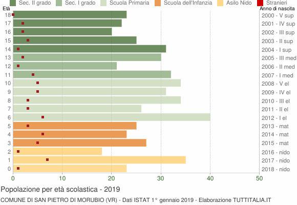 Grafico Popolazione in età scolastica - San Pietro di Morubio 2019