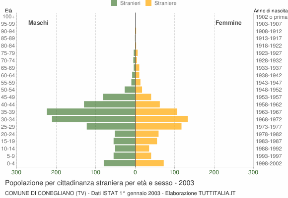 Grafico cittadini stranieri - Conegliano 2003