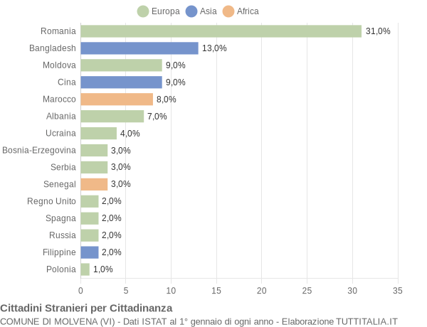 Grafico cittadinanza stranieri - Molvena 2010