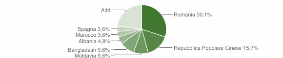Grafico cittadinanza stranieri - Molvena 2013