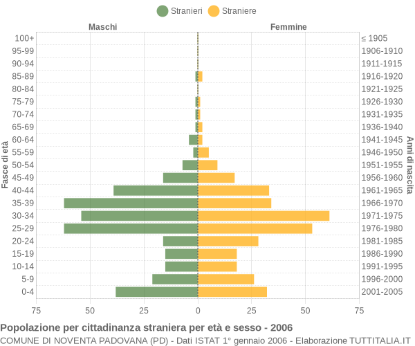 Grafico cittadini stranieri - Noventa Padovana 2006
