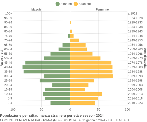 Grafico cittadini stranieri - Noventa Padovana 2024