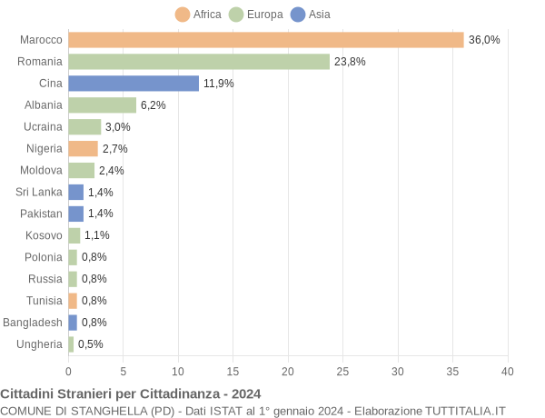 Grafico cittadinanza stranieri - Stanghella 2024