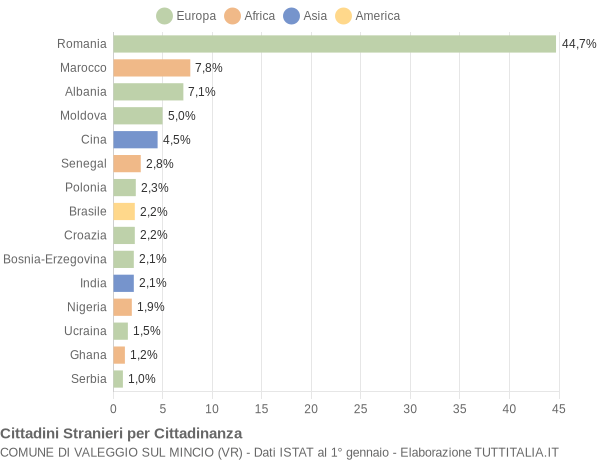 Grafico cittadinanza stranieri - Valeggio sul Mincio 2019