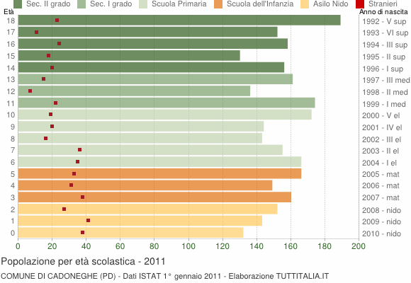 Grafico Popolazione in età scolastica - Cadoneghe 2011