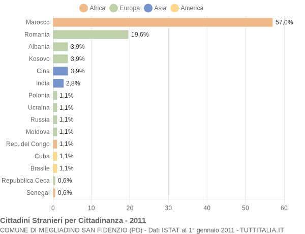 Grafico cittadinanza stranieri - Megliadino San Fidenzio 2011