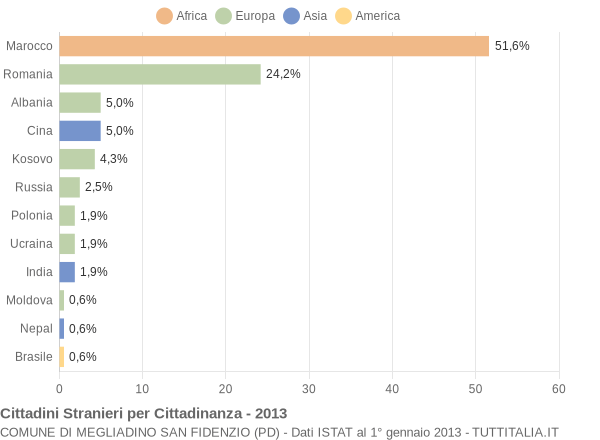 Grafico cittadinanza stranieri - Megliadino San Fidenzio 2013