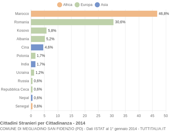 Grafico cittadinanza stranieri - Megliadino San Fidenzio 2014