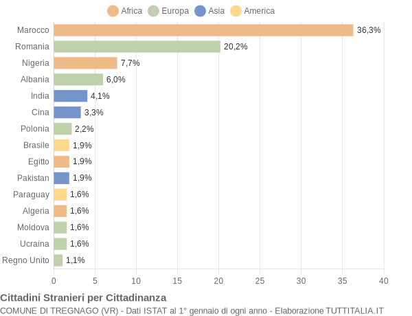 Grafico cittadinanza stranieri - Tregnago 2022