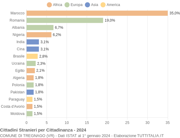 Grafico cittadinanza stranieri - Tregnago 2024