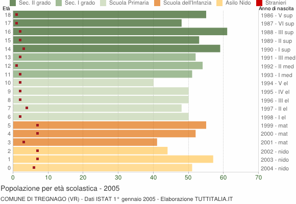 Grafico Popolazione in età scolastica - Tregnago 2005