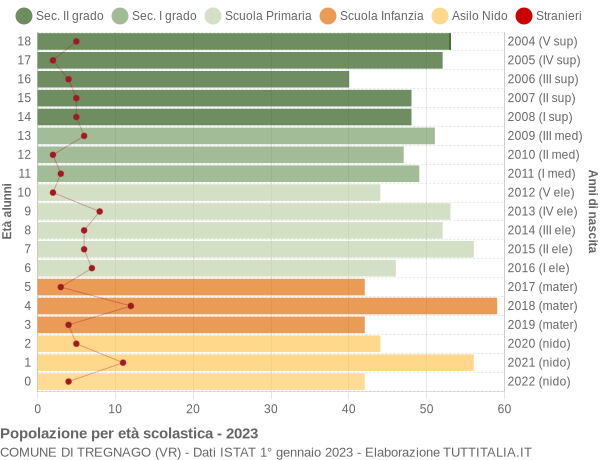 Grafico Popolazione in età scolastica - Tregnago 2023