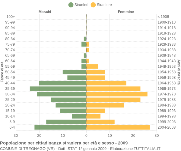 Grafico cittadini stranieri - Tregnago 2009