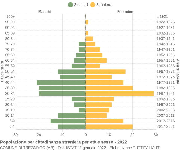 Grafico cittadini stranieri - Tregnago 2022