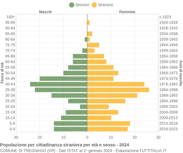 Grafico cittadini stranieri - Tregnago 2024