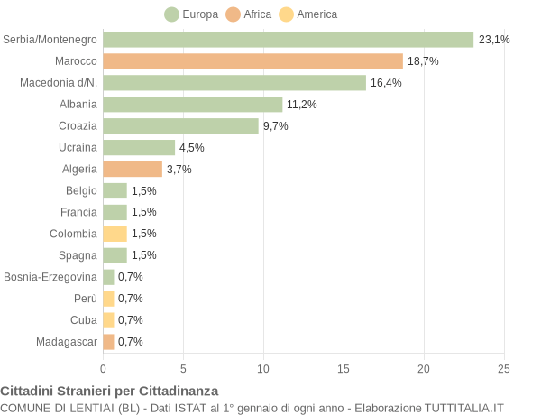 Grafico cittadinanza stranieri - Lentiai 2004