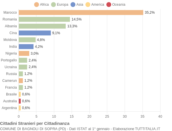 Grafico cittadinanza stranieri - Bagnoli di Sopra 2004