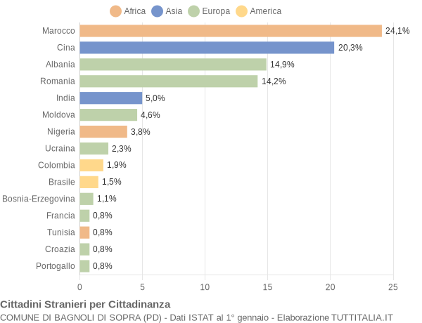 Grafico cittadinanza stranieri - Bagnoli di Sopra 2008