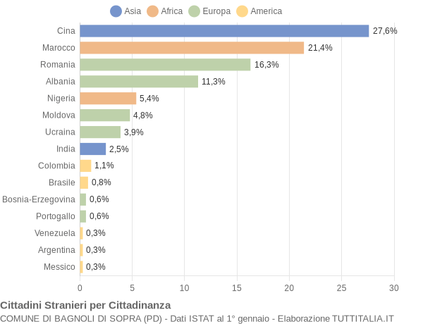 Grafico cittadinanza stranieri - Bagnoli di Sopra 2010