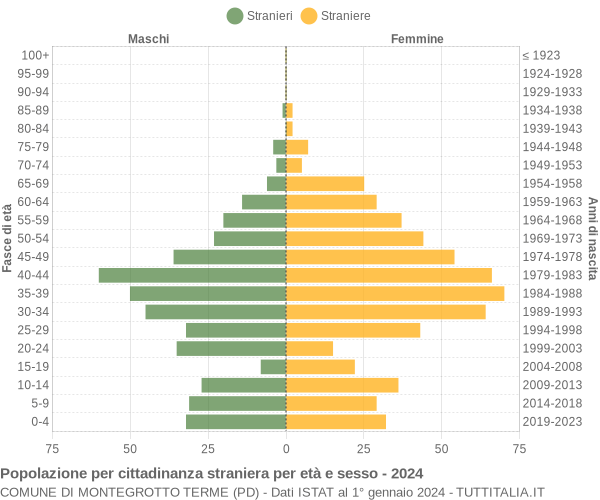 Grafico cittadini stranieri - Montegrotto Terme 2024