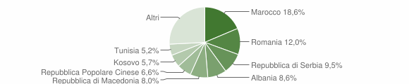 Grafico cittadinanza stranieri - Nove 2010