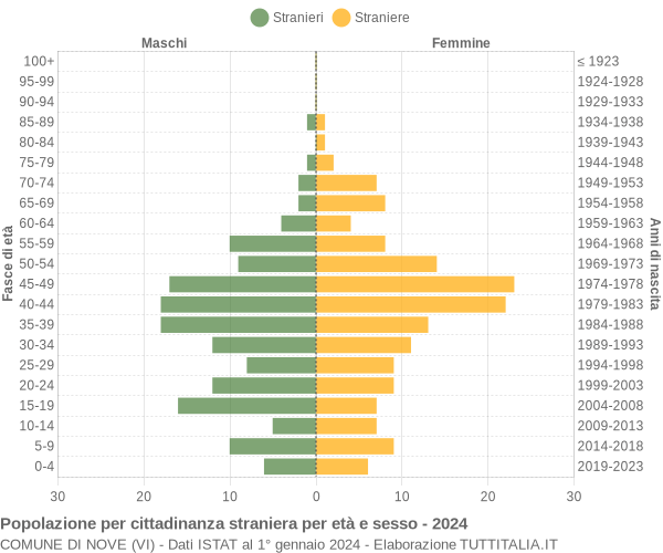 Grafico cittadini stranieri - Nove 2024