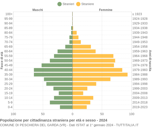 Grafico cittadini stranieri - Peschiera del Garda 2024