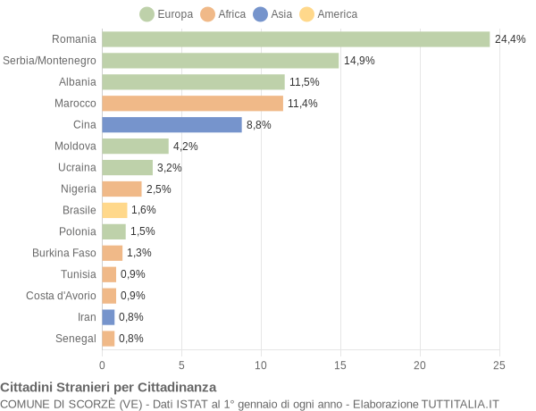 Grafico cittadinanza stranieri - Scorzè 2008