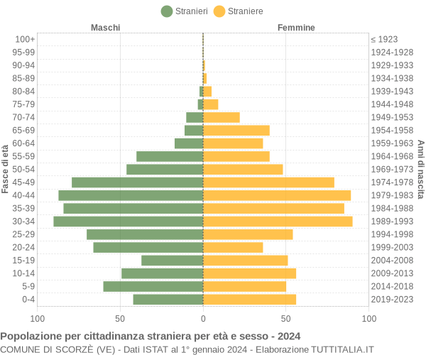 Grafico cittadini stranieri - Scorzè 2024