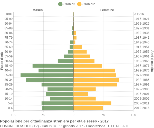 Grafico cittadini stranieri - Asolo 2017