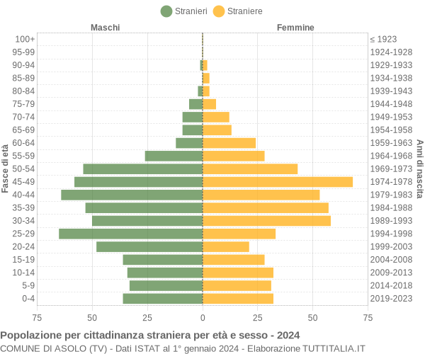 Grafico cittadini stranieri - Asolo 2024