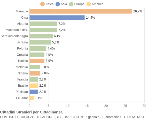 Grafico cittadinanza stranieri - Calalzo di Cadore 2004