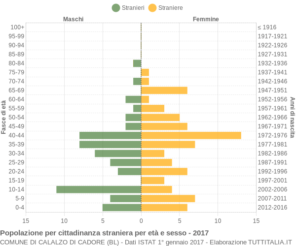 Grafico cittadini stranieri - Calalzo di Cadore 2017