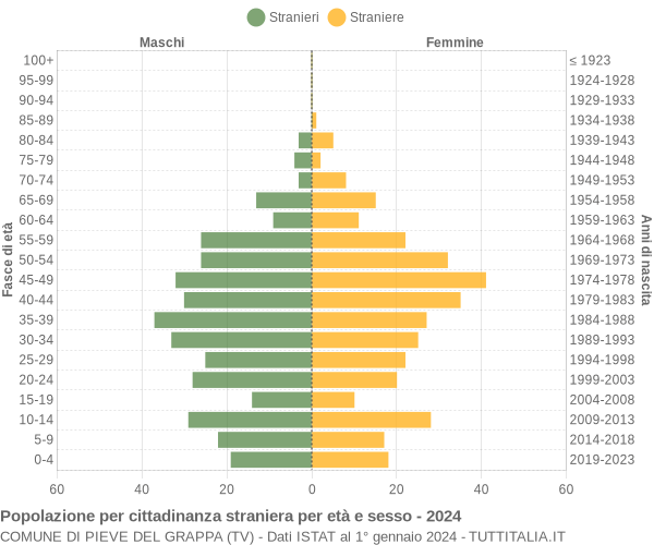 Grafico cittadini stranieri - Pieve del Grappa 2024