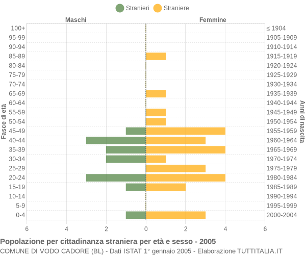 Grafico cittadini stranieri - Vodo Cadore 2005