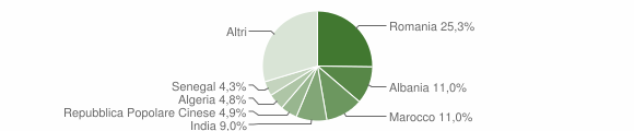 Grafico cittadinanza stranieri - Salgareda 2015