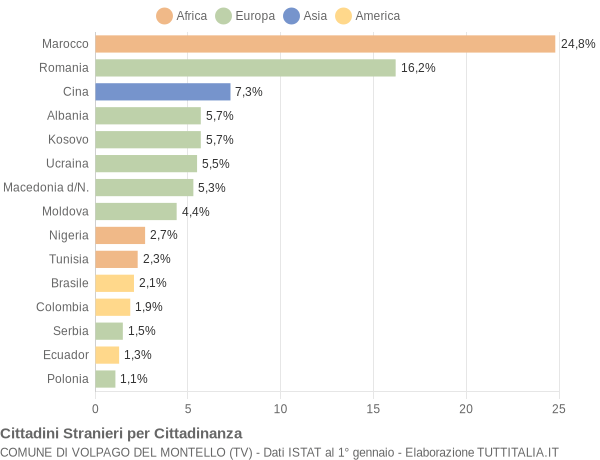 Grafico cittadinanza stranieri - Volpago del Montello 2020