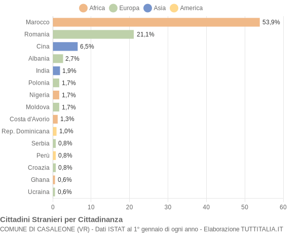 Grafico cittadinanza stranieri - Casaleone 2020