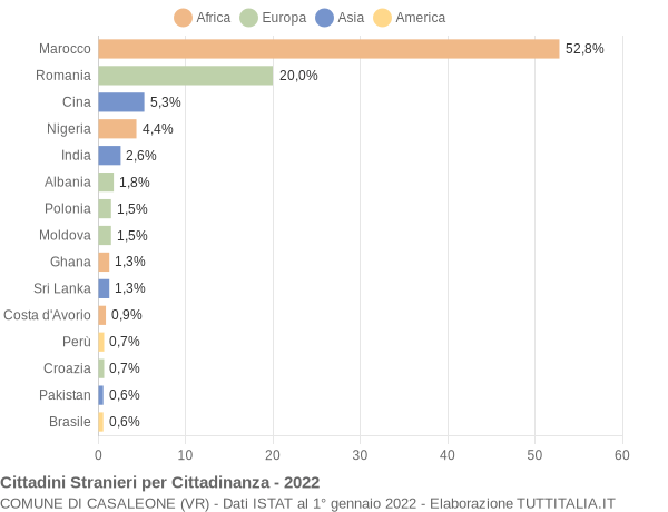 Grafico cittadinanza stranieri - Casaleone 2022