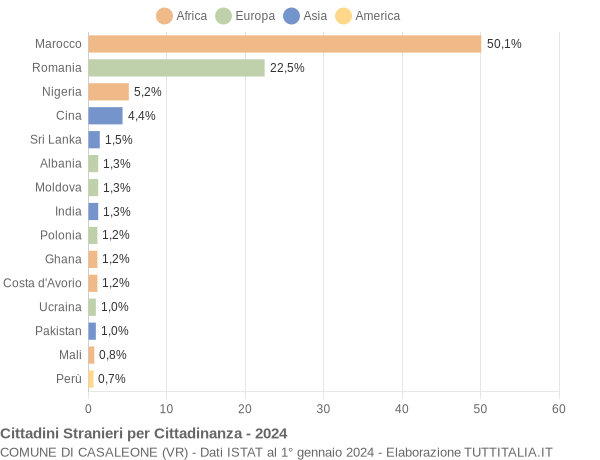 Grafico cittadinanza stranieri - Casaleone 2024