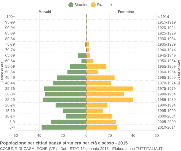 Grafico cittadini stranieri - Casaleone 2015