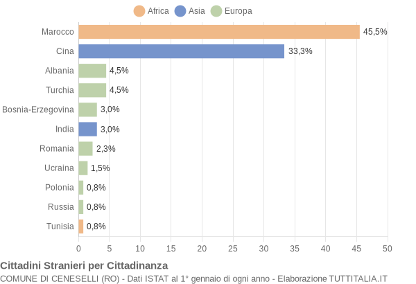 Grafico cittadinanza stranieri - Ceneselli 2004