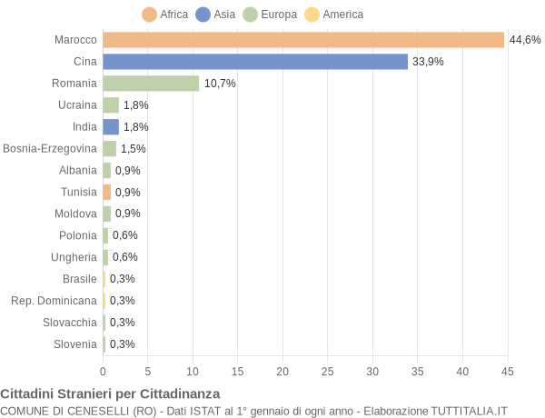 Grafico cittadinanza stranieri - Ceneselli 2010