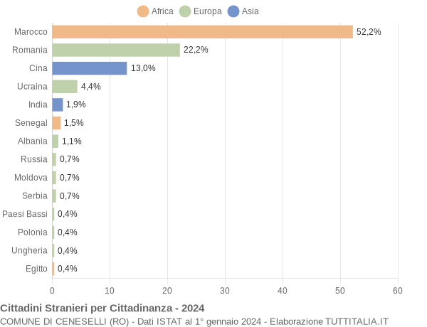 Grafico cittadinanza stranieri - Ceneselli 2024